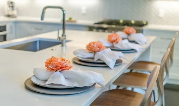 Dennison Interior Design Boulder Kitchen Designer